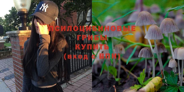 ECSTASY Абинск