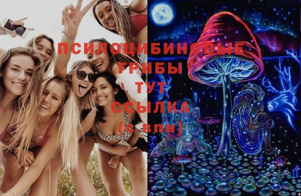 метадон Алексин